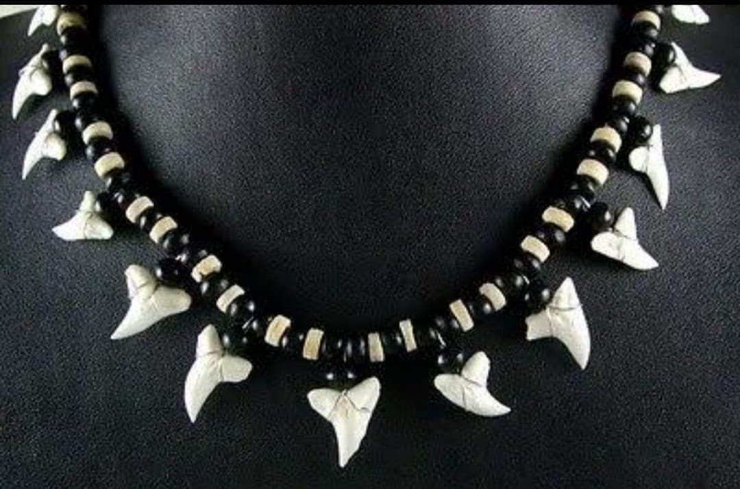 Shark Tooth Necklace