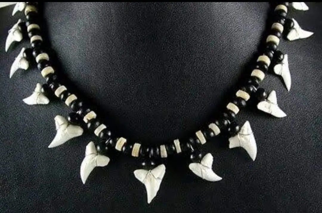 Shark Tooth Necklace